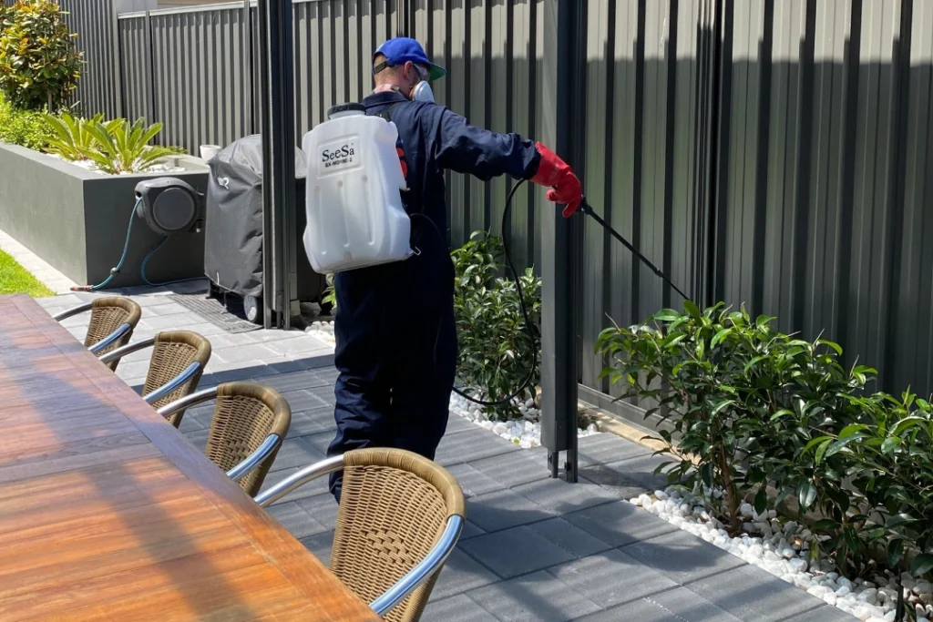 Pest Control Brisbane – Moving Solution International